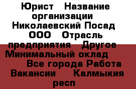 Юрист › Название организации ­ Николаевский Посад, ООО › Отрасль предприятия ­ Другое › Минимальный оклад ­ 20 000 - Все города Работа » Вакансии   . Калмыкия респ.